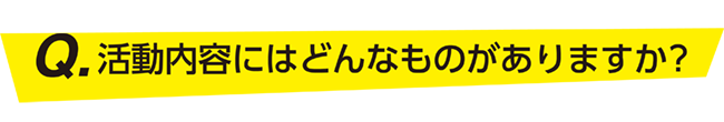 活動内容にはどんなものがありますか？