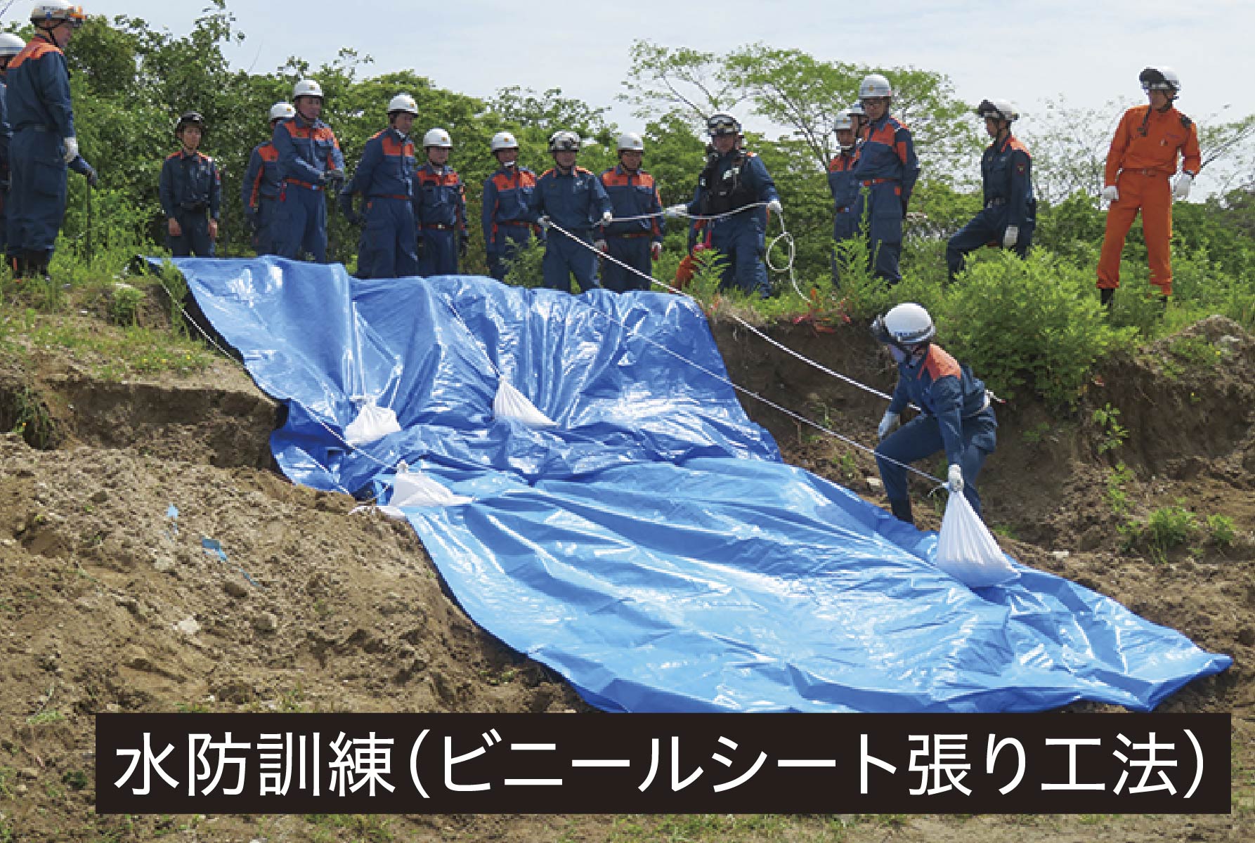 水防訓練(ビニールシート張り工法)